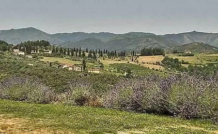 Suite Accommodation Penzion Mastiano